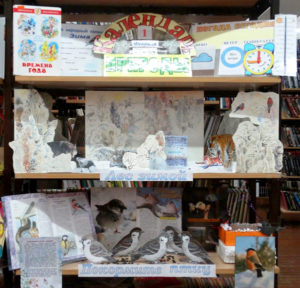 Экологический календарь: времена года. Зима