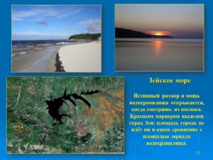 v_2020-12-22_pic11