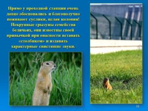 v_2020-12-22_pic18