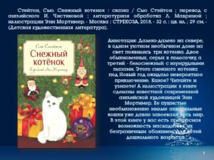 v_2022-01-06_pic05