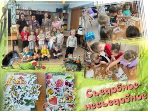 «Съедобное - несъедобное»
