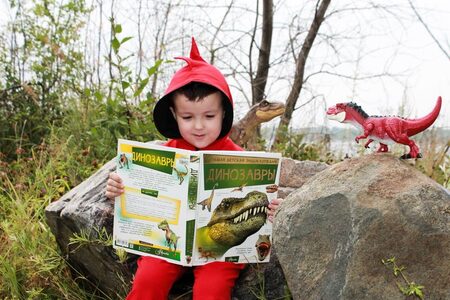 «Страна читающего детства»!