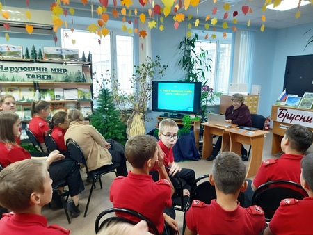 Тайны лесного царства