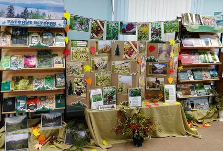 В преддверии фестиваля «Таежная брусничка» в библиотеке начали работу выставки.